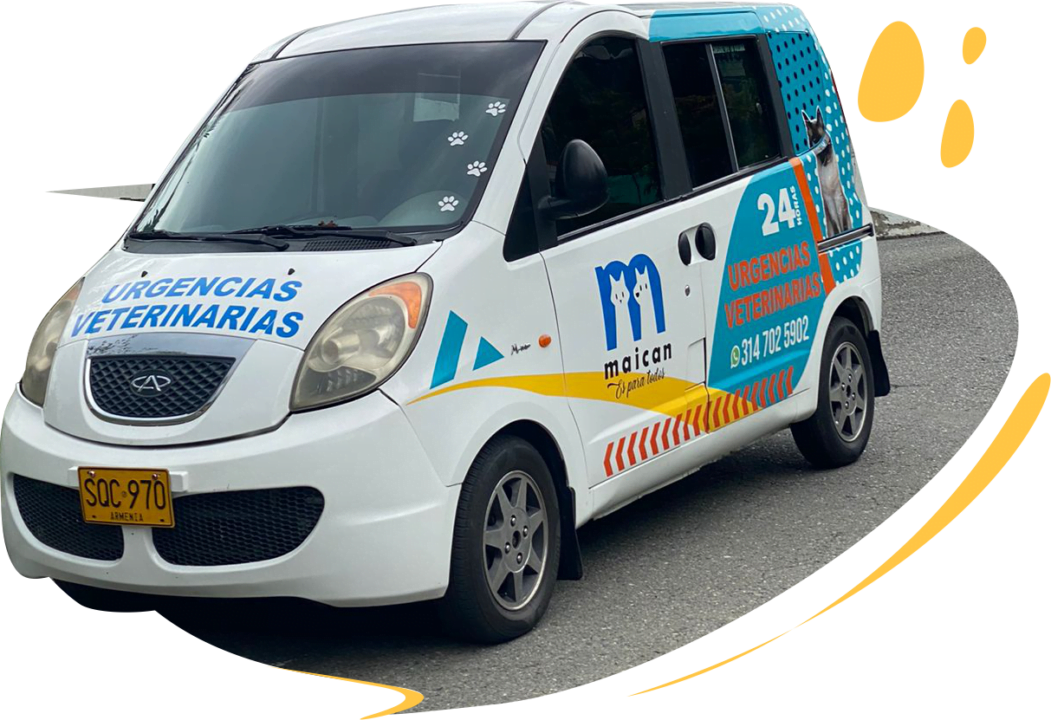 Adhesivo vehicular