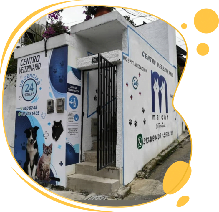 Publicidad exterior gran formato